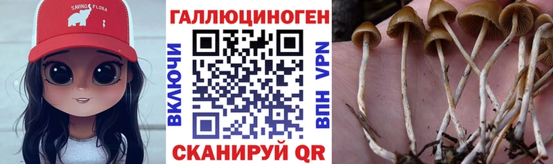 Купить  Верхний Тагил  Псилоцибиновые грибы MAGIC MUSHROOMS 