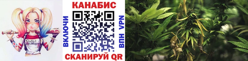 Купить закладки  Верхний Тагил  Бошки марихуана тримм 